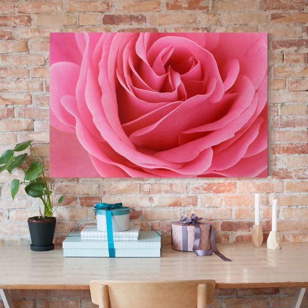Rosen Bilder auf Leinwand Lustful Pink Rose