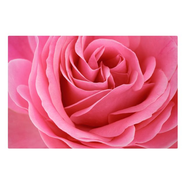Deko Blume Lustful Pink Rose