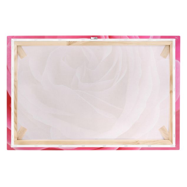Wanddeko Esszimmer Lustful Pink Rose