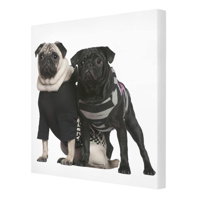 Wandbilder Hunde Mops Fashion