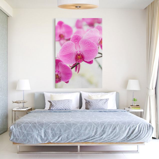 Wanddeko Wohnzimmer Nahaufnahme Orchidee