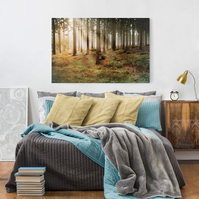 Wanddeko Schlafzimmer Morning Forest