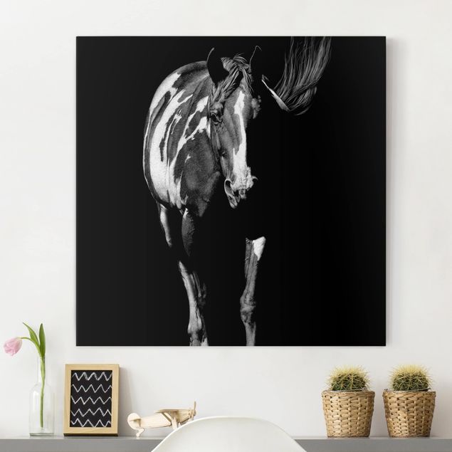 Wanddeko Wohnzimmer Pferd vor Schwarz