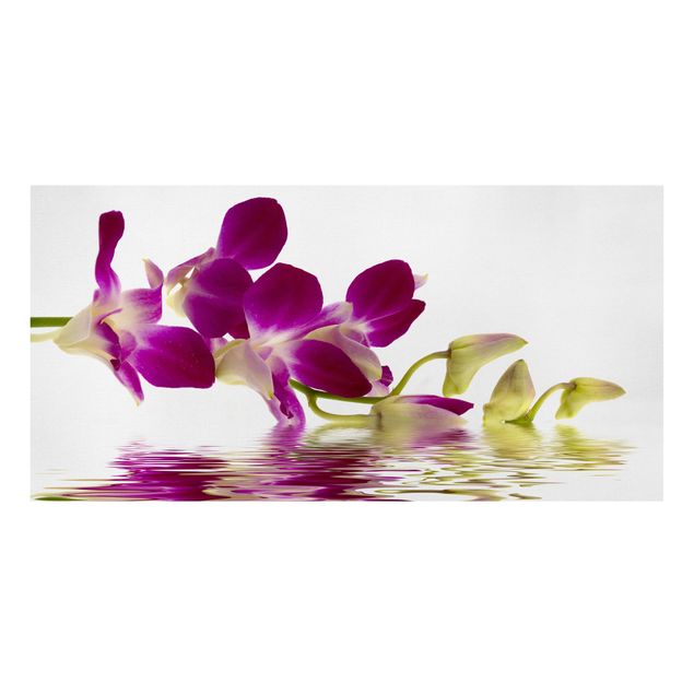 Wohndeko Botanik Pink Orchid Waters