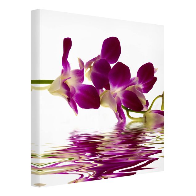 Deko Botanik Pink Orchid Waters