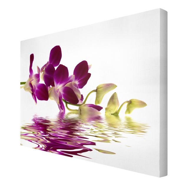 Deko Blume Pink Orchid Waters