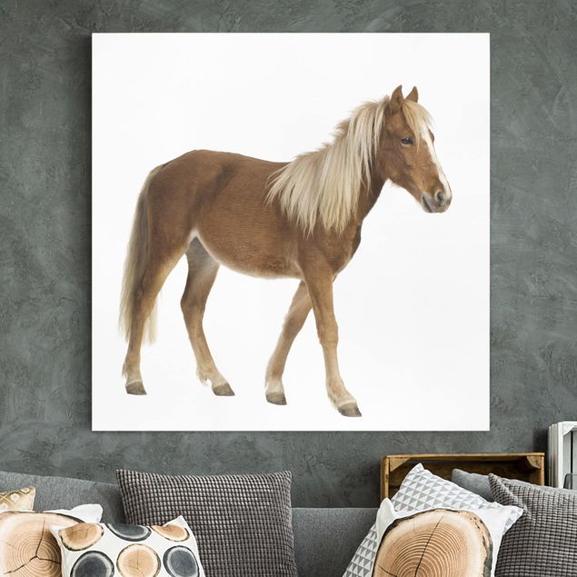 Wanddeko Wohnzimmer Pony