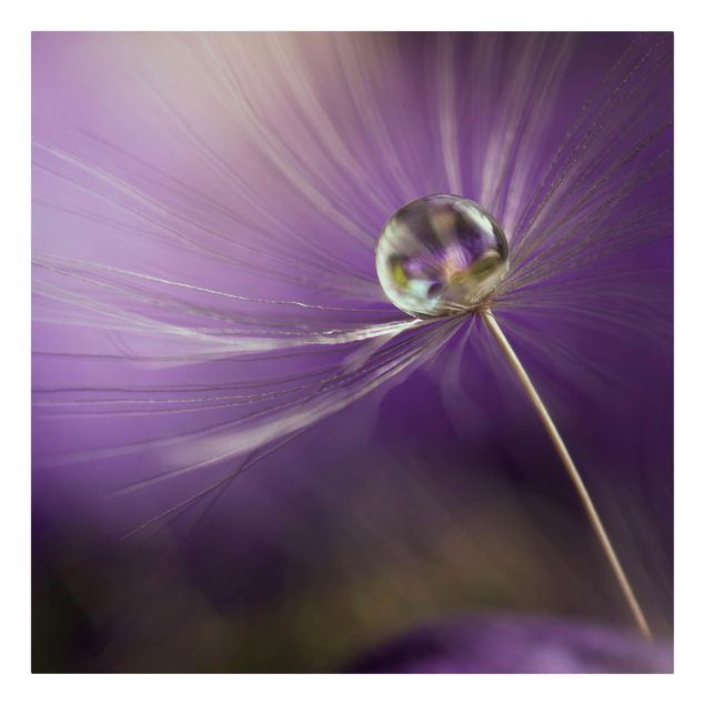 Wanddeko Blume Pusteblume in Violett