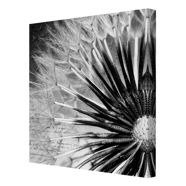 Deko Blume Pusteblume Schwarz & Weiß