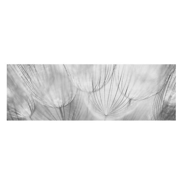 Wohndeko Blume Pusteblumen Makroaufnahme in schwarz weiß