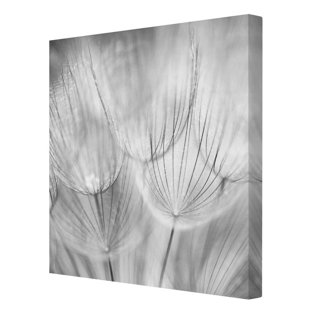 Wanddeko Flur Pusteblumen Makroaufnahme in schwarz weiß