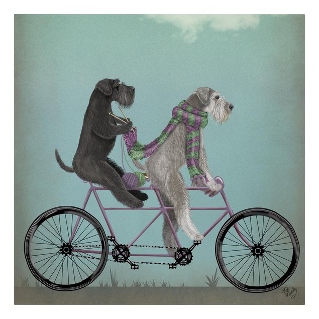 Leinwandbild Hund Radtour - Schnauzer Tandem