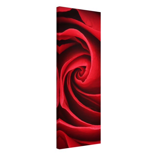 Wanddeko Schlafzimmer Red Rose Blossom