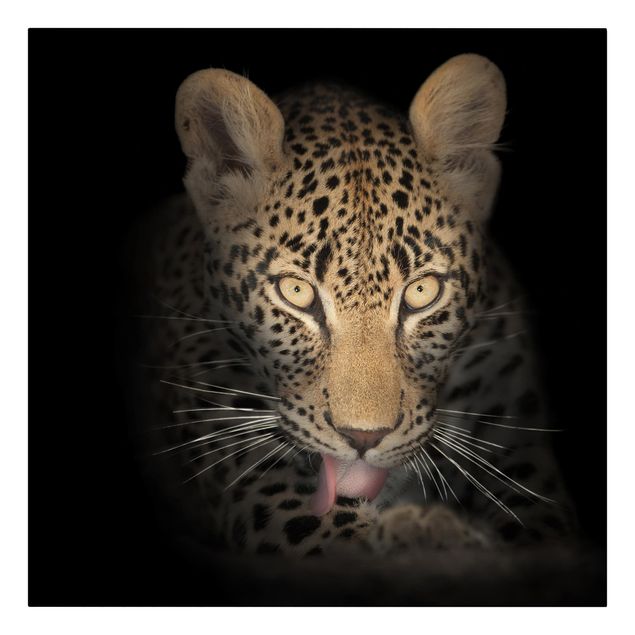Wanddeko Flur Resting Leopard