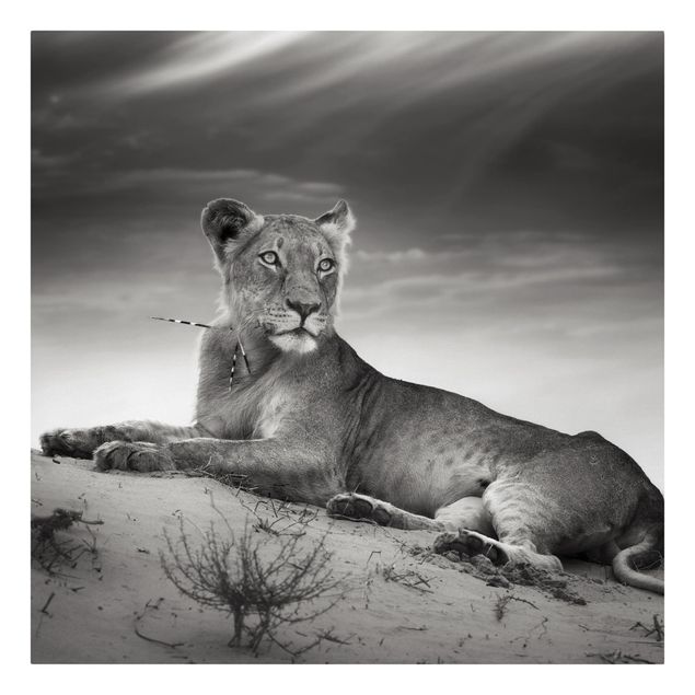 Wanddeko Esszimmer Resting Lion