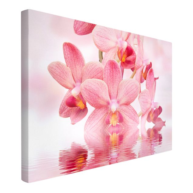 Wanddeko Wohnzimmer Rosa Orchideen auf Wasser