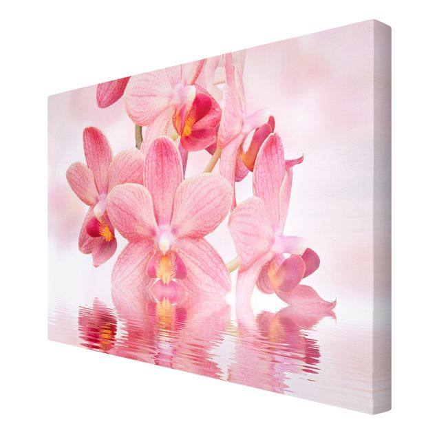 Wanddeko Schlafzimmer Rosa Orchideen auf Wasser
