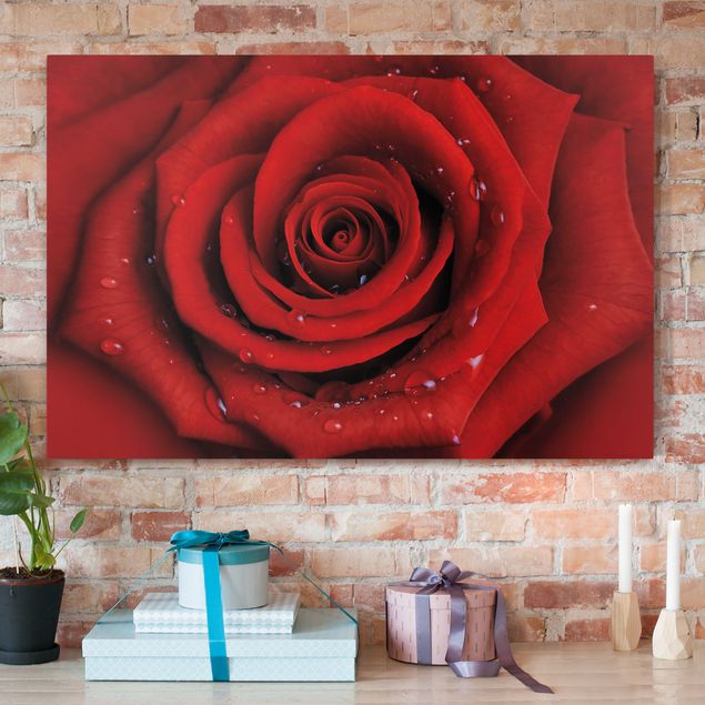 Wanddeko Wohnzimmer Rote Rose mit Wassertropfen