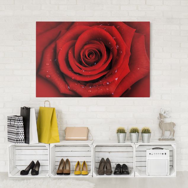 Leinwandbilder Rosen Rote Rose mit Wassertropfen