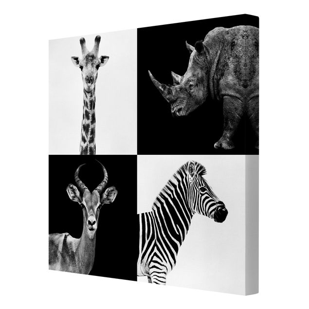Zebra Leinwand Safari Quartett