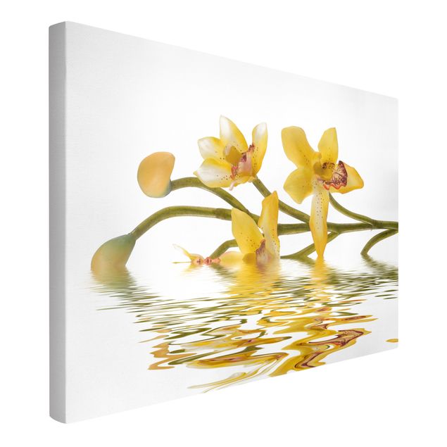 Wohndeko Botanik Saffron Orchid Waters