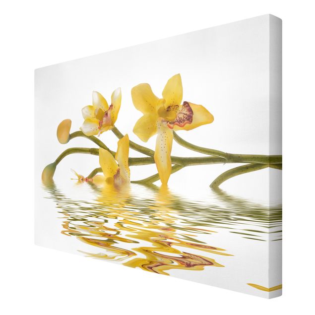Wohndeko Blume Saffron Orchid Waters