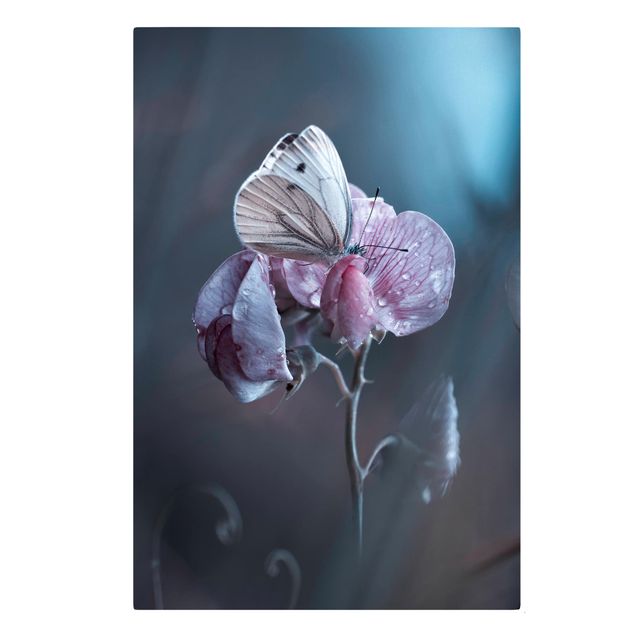Wanddeko Blume Schmetterling im Regen