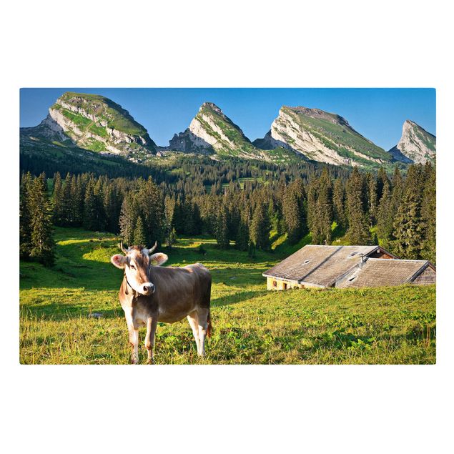 Wandbilder Schweiz Schweizer Almwiese mit Kuh