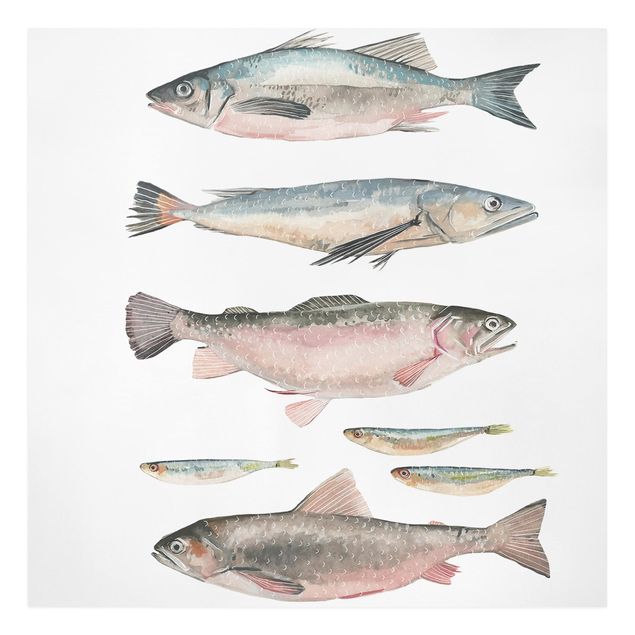 Wanddeko Büro Sieben Fische in Aquarell I