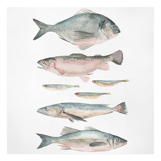 Wanddeko Büro Sieben Fische in Aquarell II