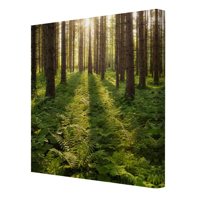 Wanddeko Büro Sonnenstrahlen in grünem Wald