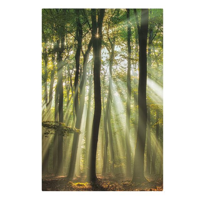 Wanddeko Esszimmer Sonnentag im Wald