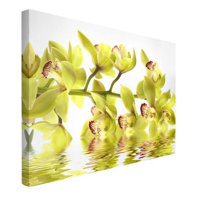 Wohndeko Botanik Splendid Orchid Waters