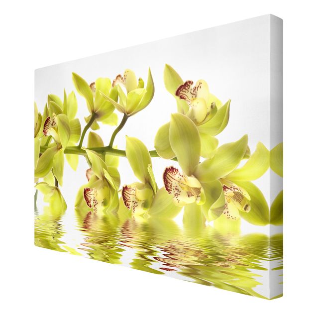 Wohndeko Blume Splendid Orchid Waters