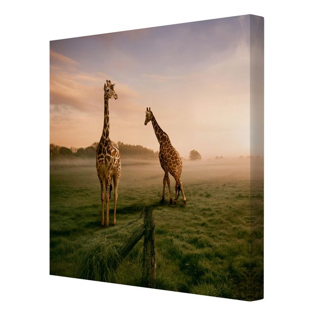 Wanddeko Flur Surreal Giraffes