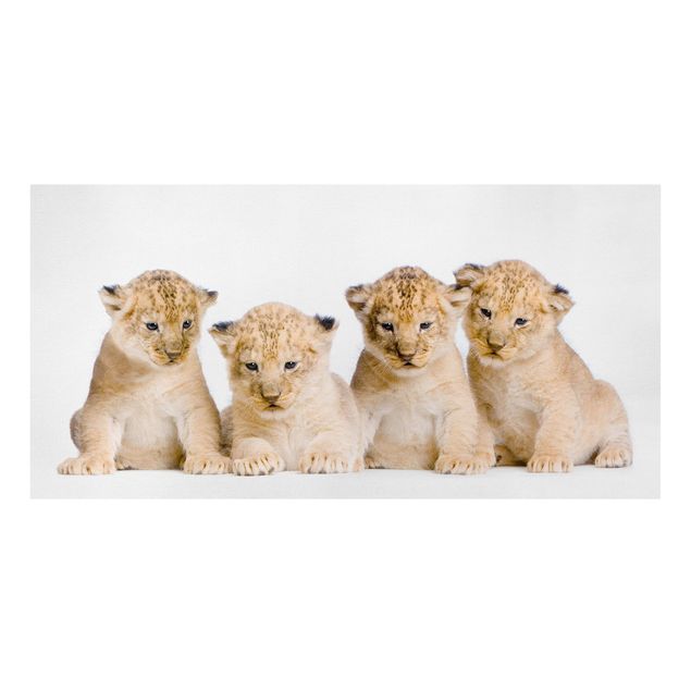 Leinwandbild Löwe Sweet Lion Babys