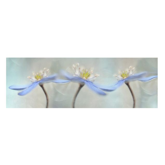 Wanddeko Blume Tanzende Anemonen