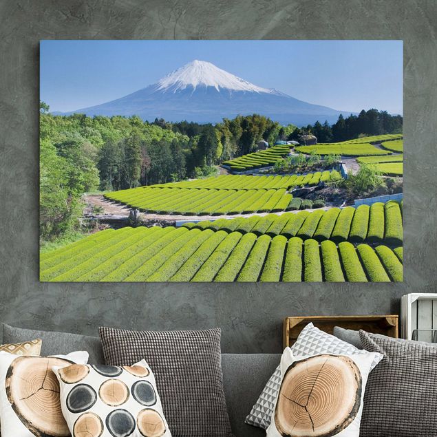 Wanddeko Wohnzimmer Teefelder vor dem Fuji