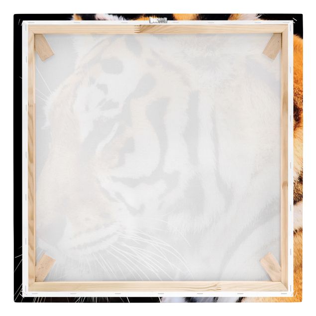 Wanddeko Esszimmer Tiger Schönheit
