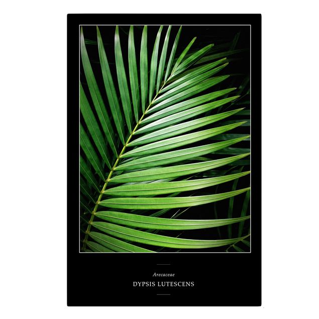 Wanddeko Flur Tropisches Palmblatt