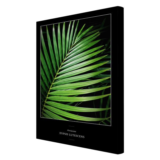 Wanddeko Esszimmer Tropisches Palmblatt