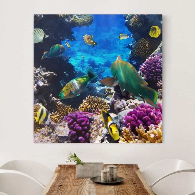 Leinwandbilder Fisch Underwater Dreams