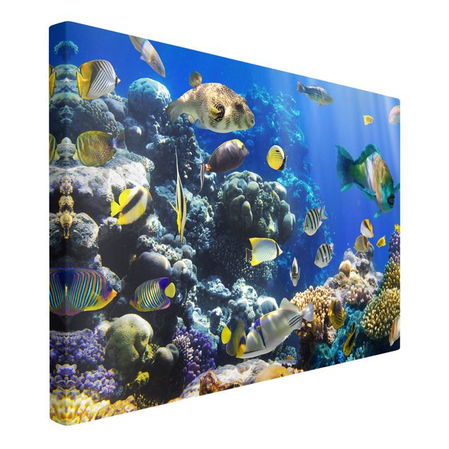 Wandbilder Fische Underwater Reef