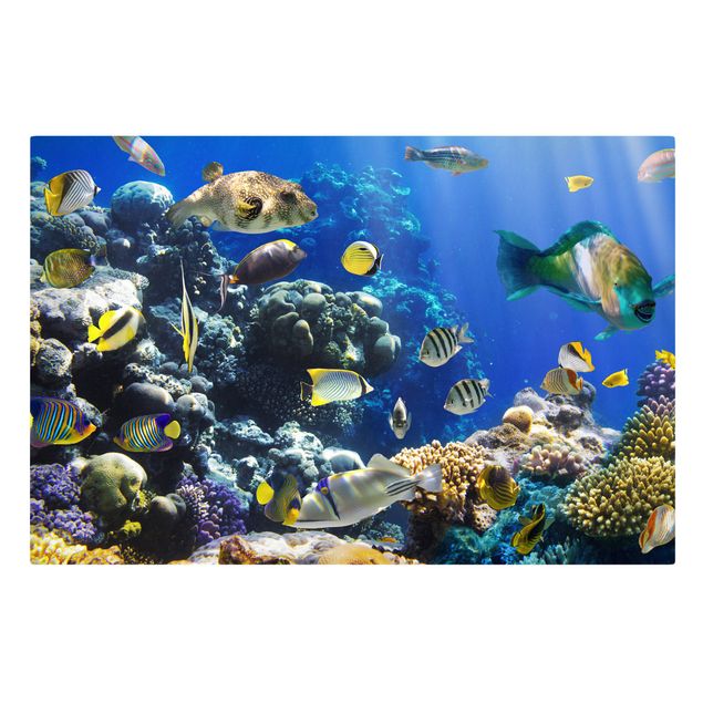 Wanddeko Schlafzimmer Underwater Reef