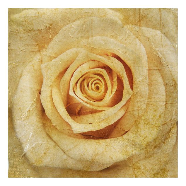 Wanddeko Blume Vintage Rose