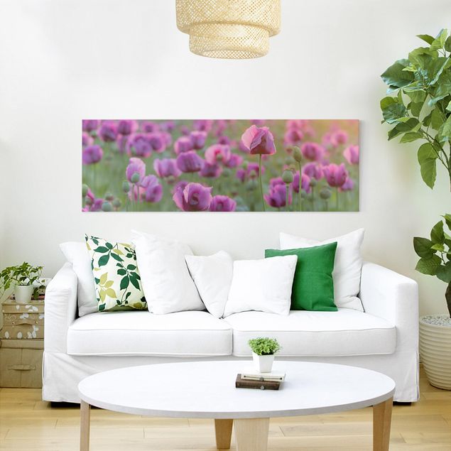 Mohnbilder auf Leinwand Violette Schlafmohn Blumenwiese im Frühling