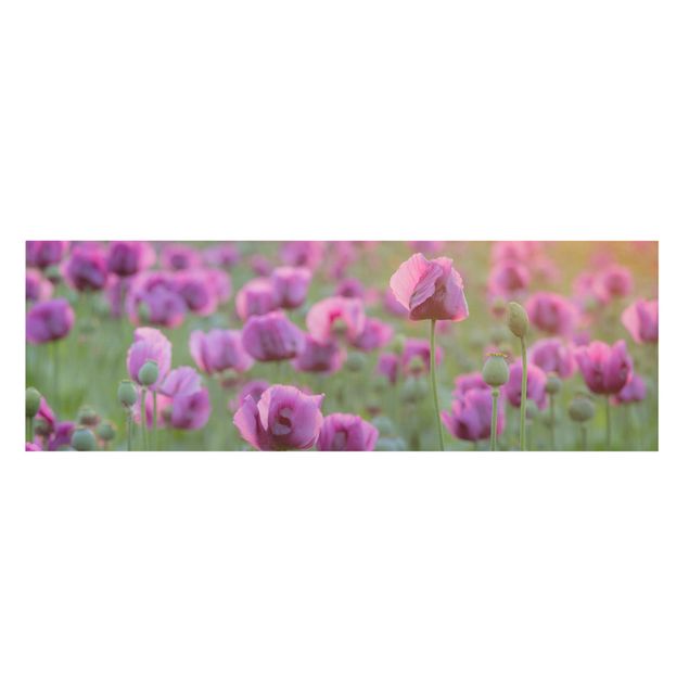 Wohndeko Blume Violette Schlafmohn Blumenwiese im Frühling