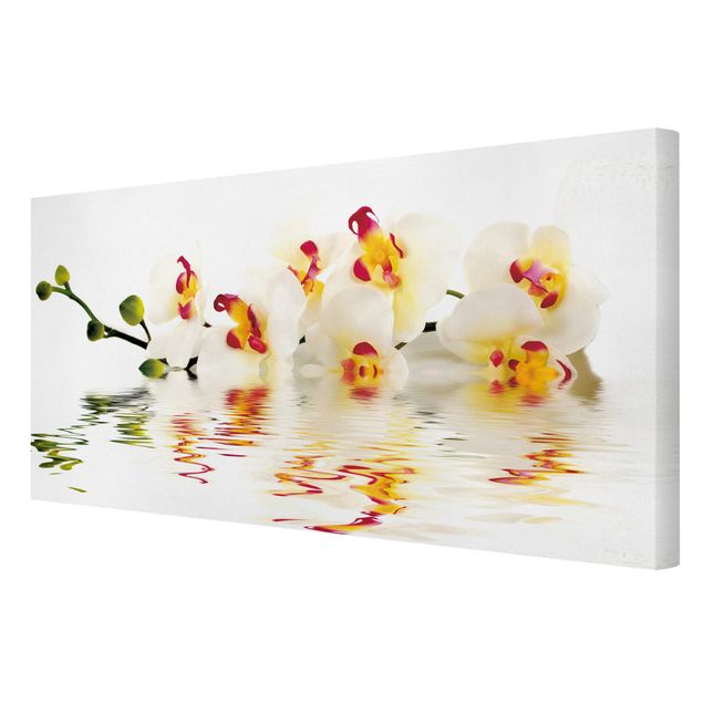 Wanddeko Blume Vivid Orchid Waters