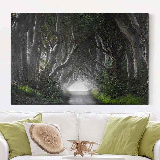 Wanddeko 3D Wald in Nordirland
