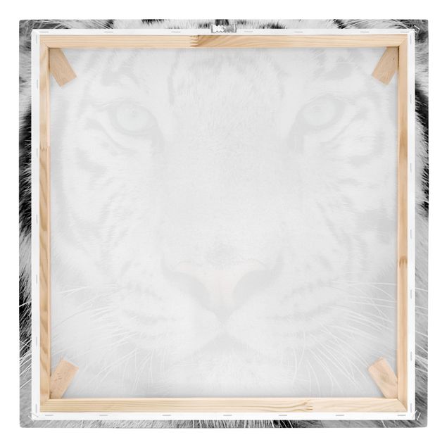 Wanddeko Büro Weißer Tiger